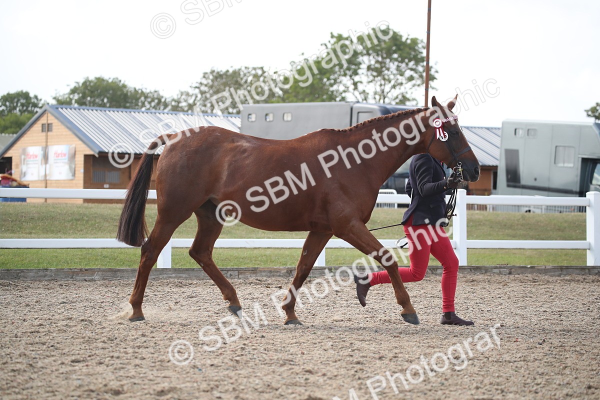 SBM_23117 - Class 606 - 2026 - Area - IH Pre Vet