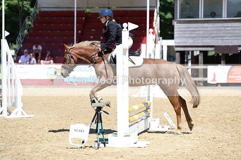 3E7A2509 - Class 4/5: 60cm Open Teams and Individuals