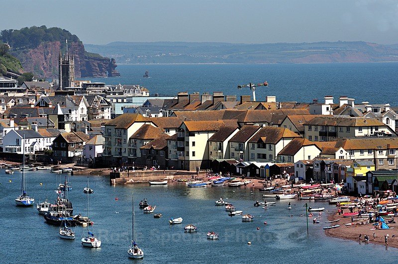 View of Teignmouth Back Beach from The Botanical Gardens at Shaldon - Teignmouth and Shaldon