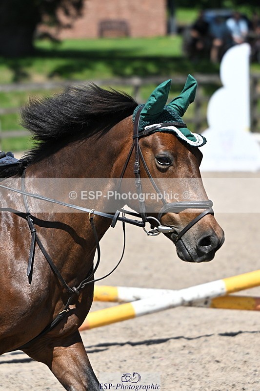 240729B-122533-02661 - Showjumping Competition