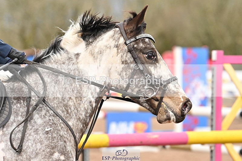 240310A-121121-02375 - Cls 5 Pony Newcomers and 1m Open