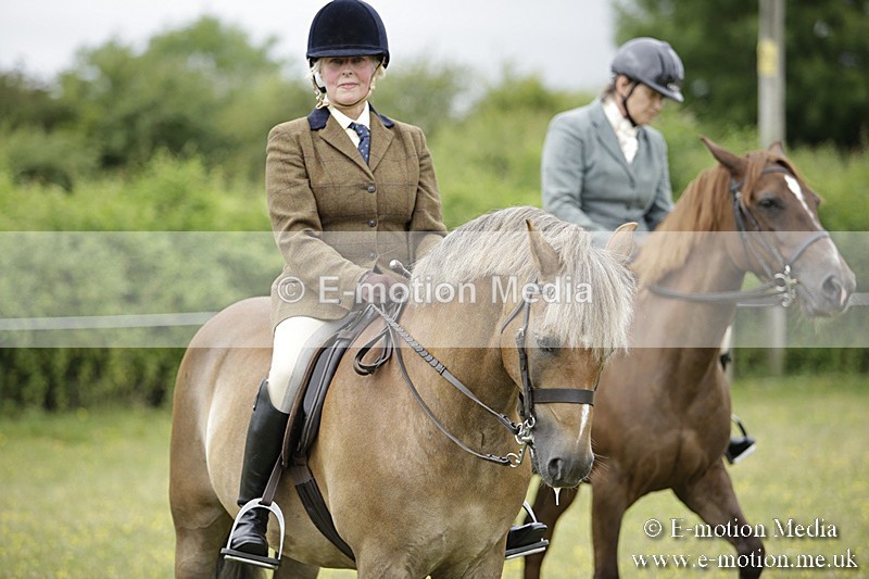 BVR160717-1342 - Ring 1 BVRC Show 16/07/17