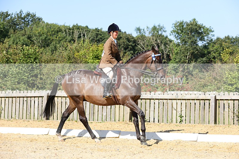 1X9A7906 - Class 10:Riding Horse