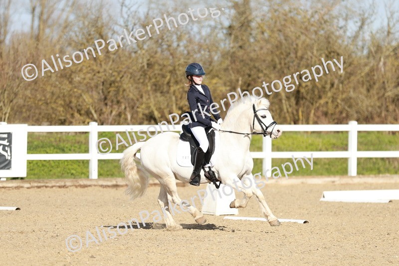 20260314-4524 - DR4 - Prelim 2