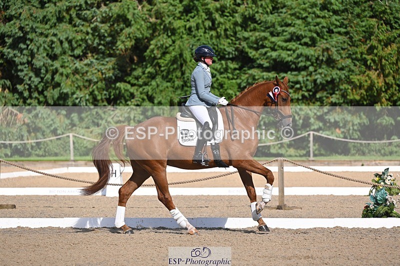 240809-163648-02441 - Novice Gold