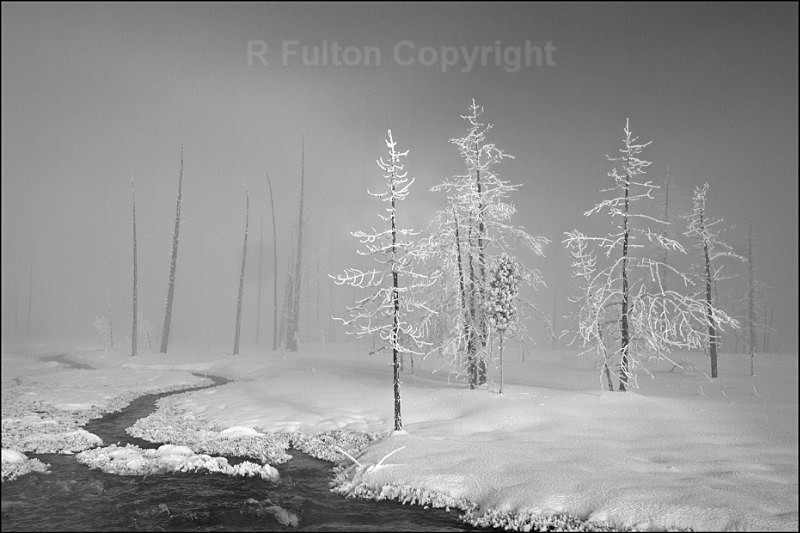 Light  Shade Mono - Yellowstone