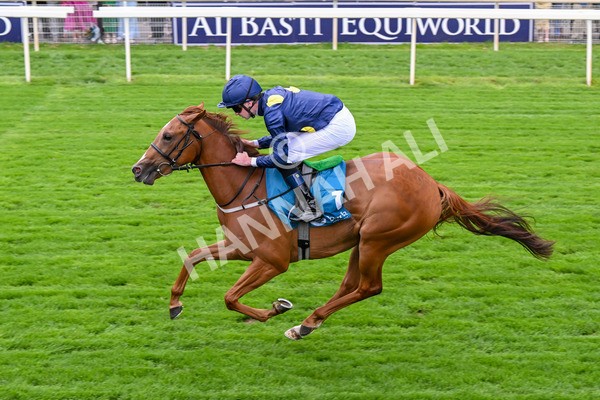 260725-Race 1-Golden Palace-7117 - Race 1 1.25pm £100K ITV7 Jackpot Today EBF Fillies' Novice Stakes