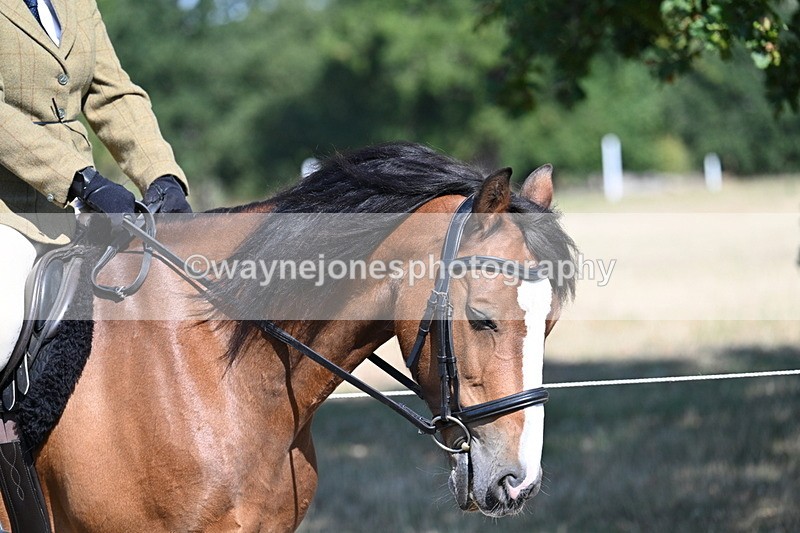 WJ7_3529 - Class 9 Mountain & Moorland Ridden