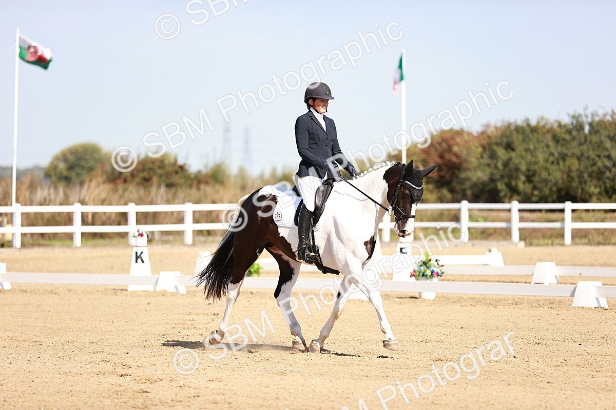 SBM_004341 - Class 12 - Novice 5 - 10.31-11.41