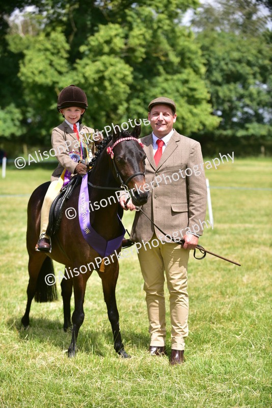 20260614-1418 - Class 11b - Lead Rein Pony (Plaited)