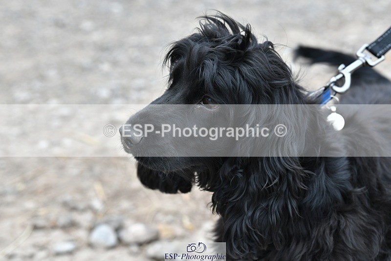 230817-124318-02804 - Stable Shots