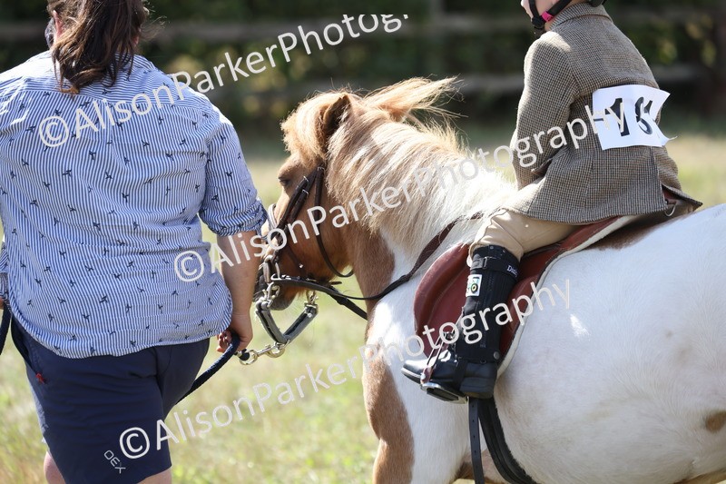 20260906-2804 - Class 25 - Absolute Beginners Pony