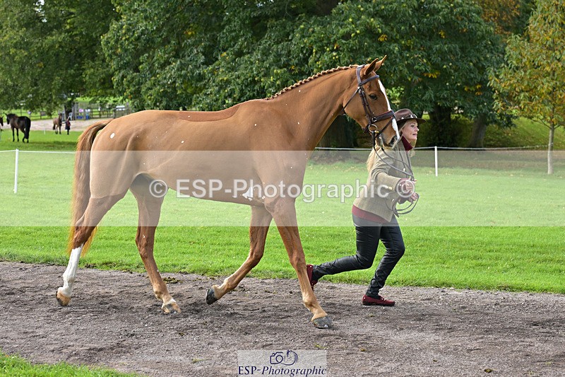 241023-131716-00181 - 010-Julia.Norman-SCOTCH.ON.THE.ROCK'Z