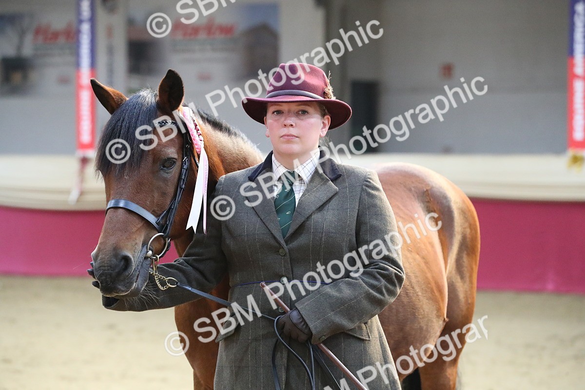 SBM_00337 - Class 1a - Area IH Diamond