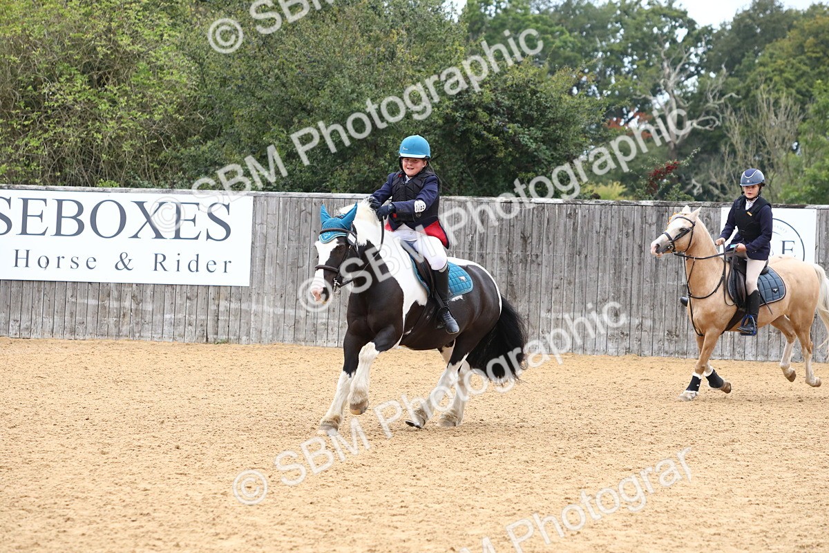 SBM_60182 - J63 - Junior Pony 50cm Championship