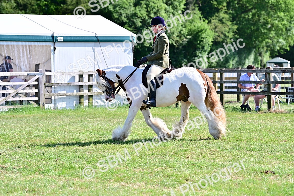 SBM_19448 - Class 101-102 - BSPS LIHS Performance Coloured Horse/Pony