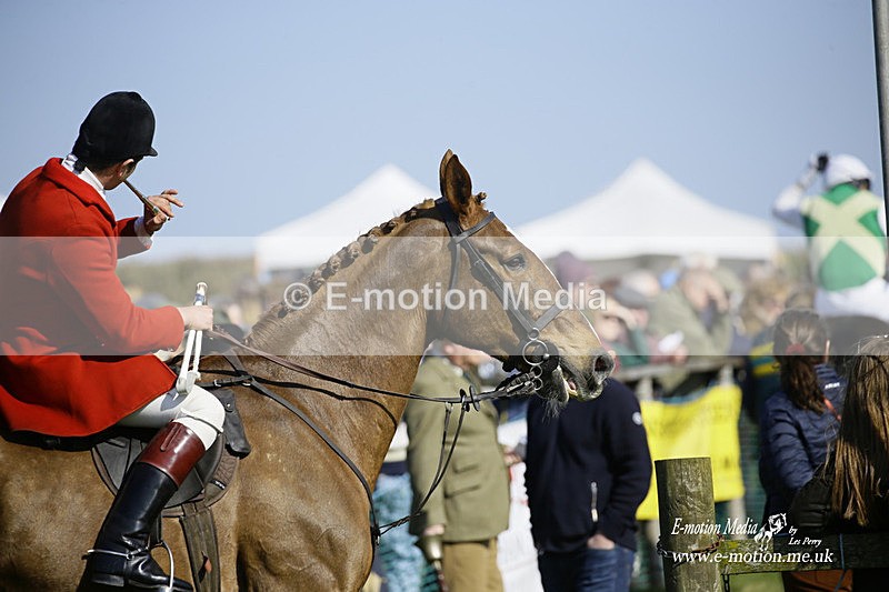 PtP 190322 449 - Wilton Hunt PtP Milborne St Andrew 19/03/22