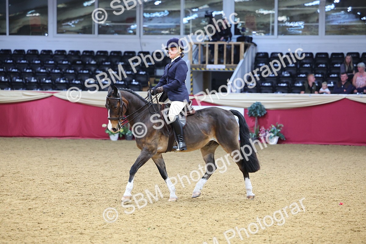 SBM_23683 - Class 904 - Supreme Final Ridden Diamond