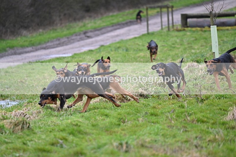 WJ6_8192 - Cam B