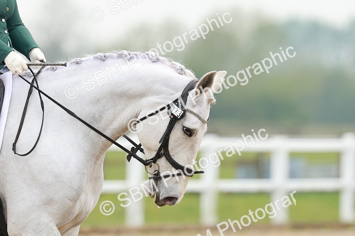 Canon EOS R3_000130 - Class 4 - P5