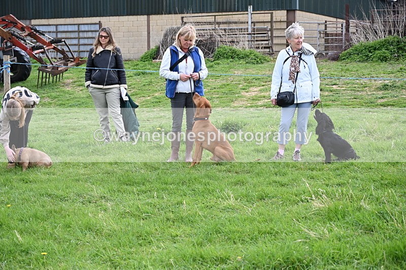 WJ6_8054 - Class 2 Best Pedigree