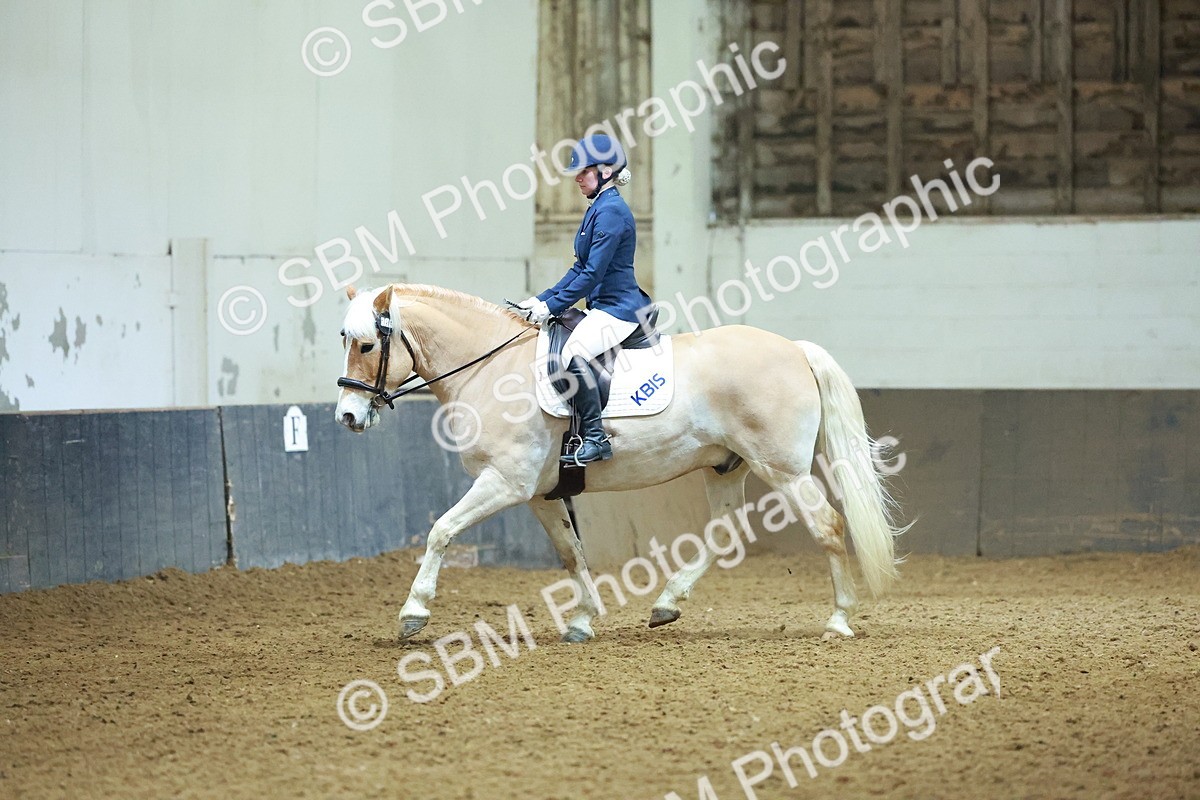 SBM_003905 - Novice 2