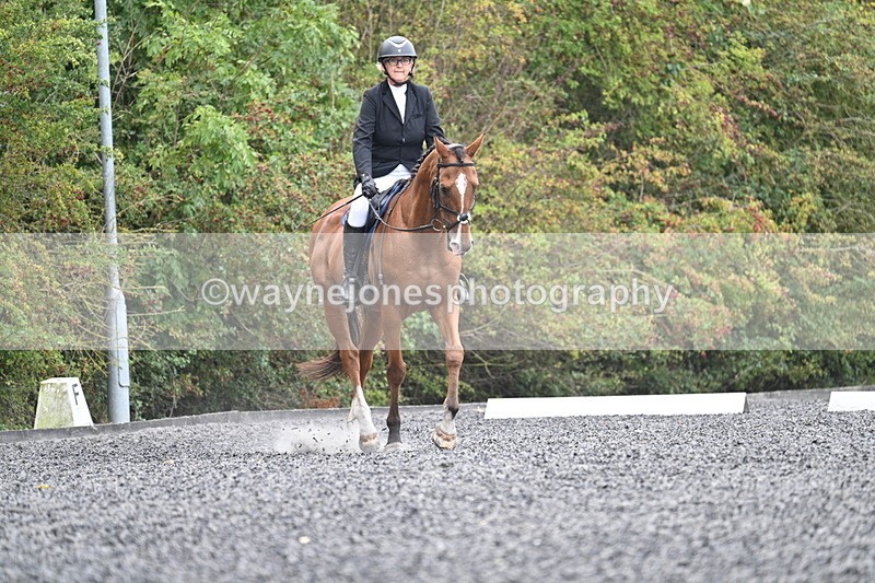 WJ7_3455 - Time 09:54 to 10:54