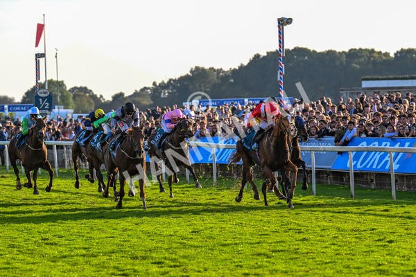 111025-Race 6-Berkshire Sundance-0621 - Race 6 Coral Racing Club Stayers Handicap at York