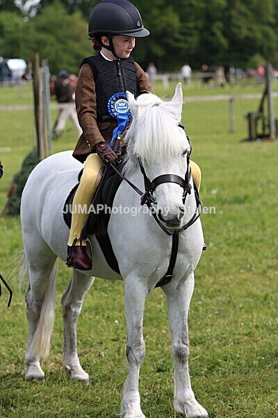 IMG_2338 - Working Hunter