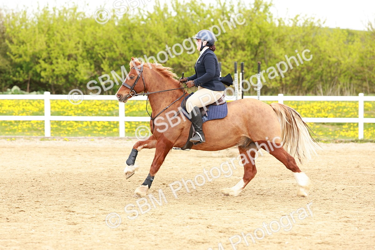 SBM_004195 - Class 3 - 60cm