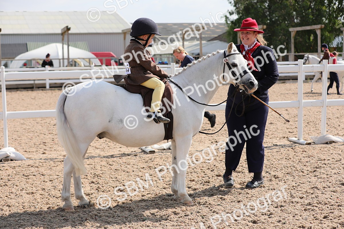 SBM_14031 - Class 309 Lead Rein Pony