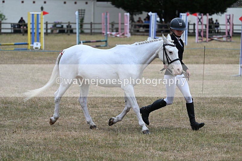 WJ7_8319 - Class 4 Prettiest Mare up to 14.2hh