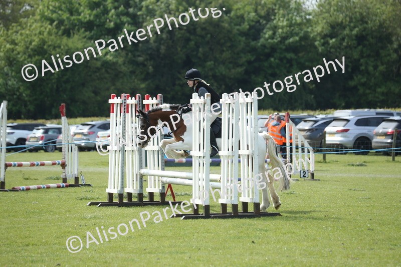 20260426-1563 - Class 14 - Novice 60cm