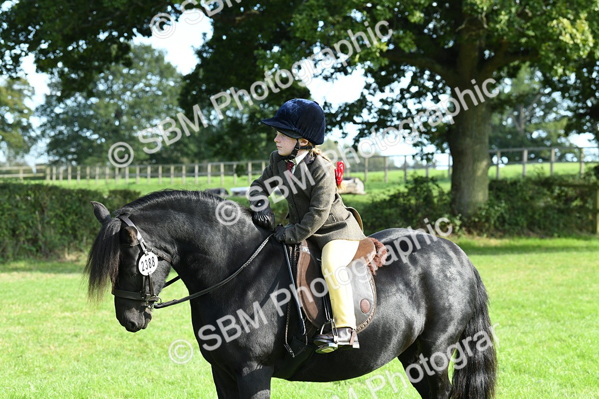 SBM_50458 - S21 - Novice & Newcomers 1st Ridden Pony