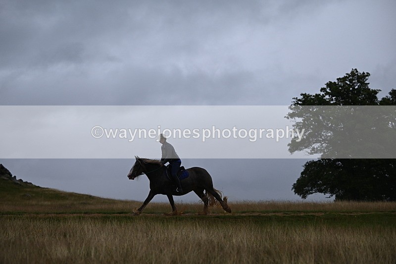 DSC_3296 - Time at Statue 12:59 to 13:49