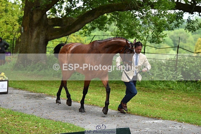 240522-152112-00281 - 324-COOMBELAND_SEMILLY-Rupert_Batting