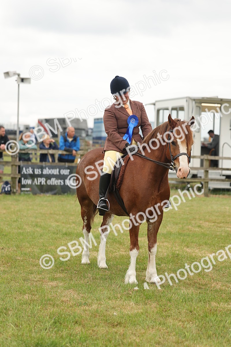 SBM_07268 - Class 76-77 - Ridden M&M Welsh Ponies