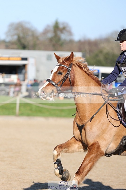 250209A-112641-00784 - 80cm 11.10 to End