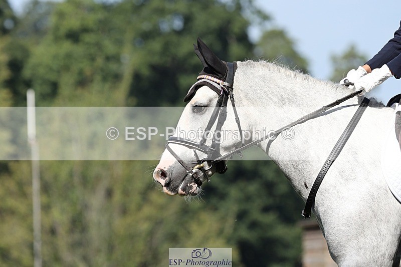 250823A-105721-27846 - Arena D