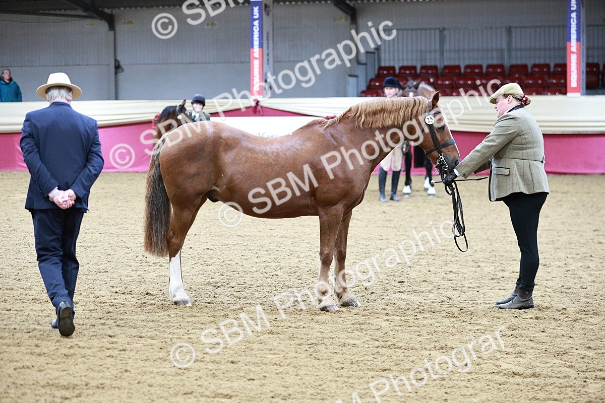 SBM_00305 - Class 1A - Area IH Diamond