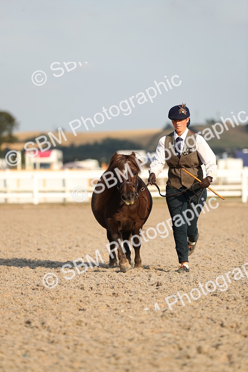 SBM_09058 - Class 29 IH Veteran Pony