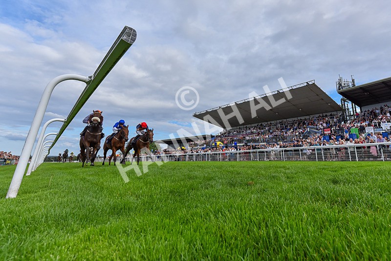 300826-Race 6-Court Legend-6704 - Race 6 4.30pm Return Of The Legend Martin Spencer Nursery Handicap