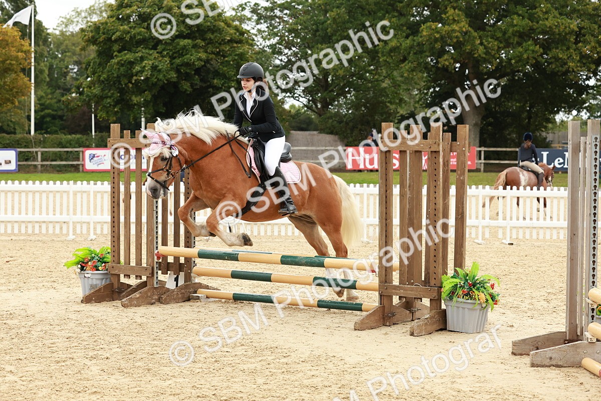 SBM_67100 - J13 - Junior Pony 60cm Championship