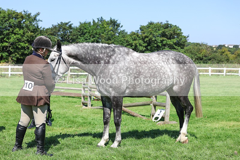 3E7A8457 - Class 4: Novice working Hunter