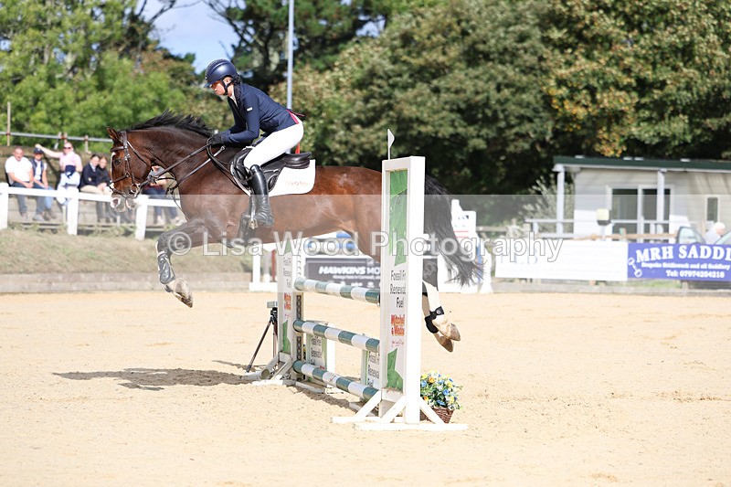 3E7A1993 - Class 4: Senior British Novice/90cm open