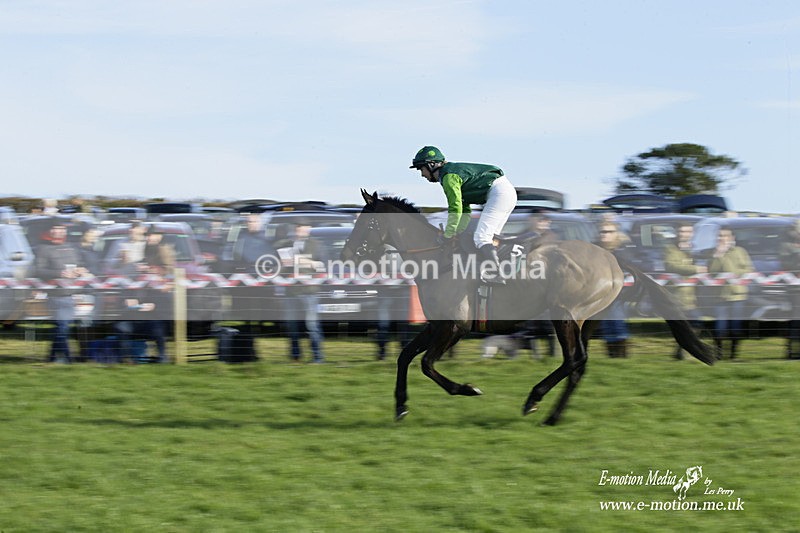 PtP 300122 160 - South Dorset Hunt - Point-to-Point Races 30/01/2022