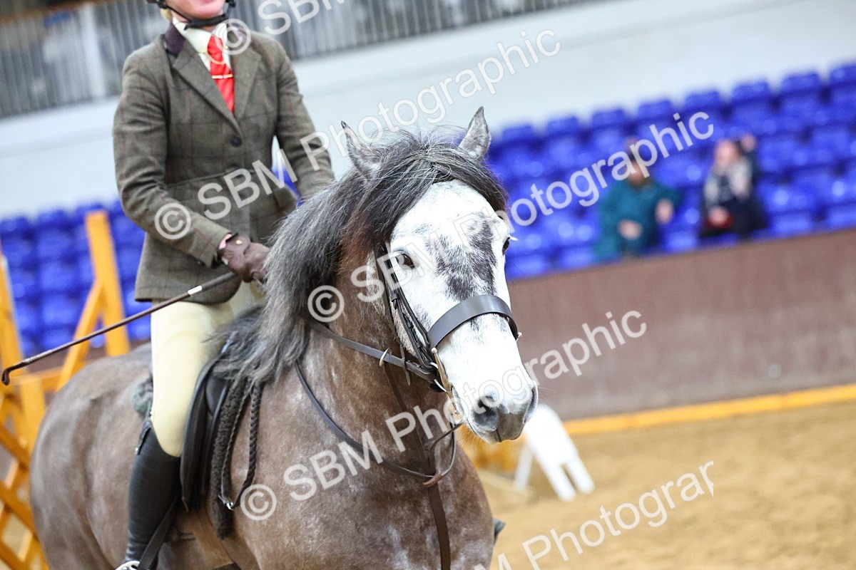 SBM_004987 - Class 41 - Not exceeding 143cms