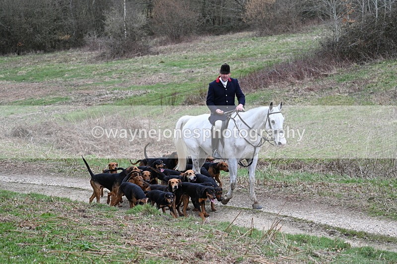 WJ7_7312 - Walk Home