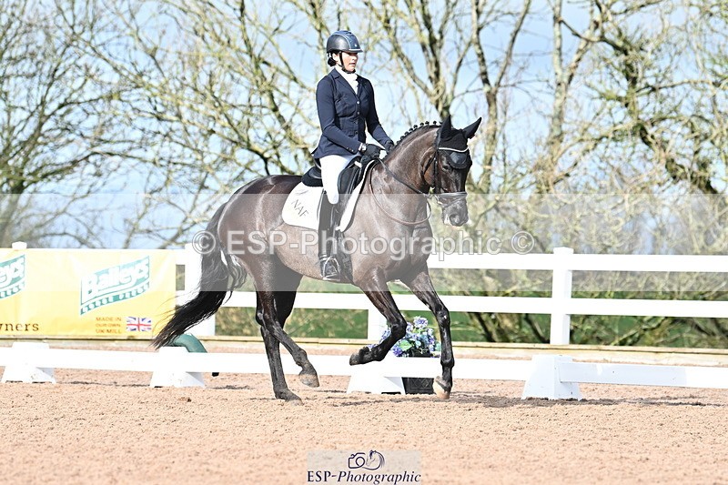 240218A-115847-06943 - 204-Elder.Klatzko-Dynasty.Hit