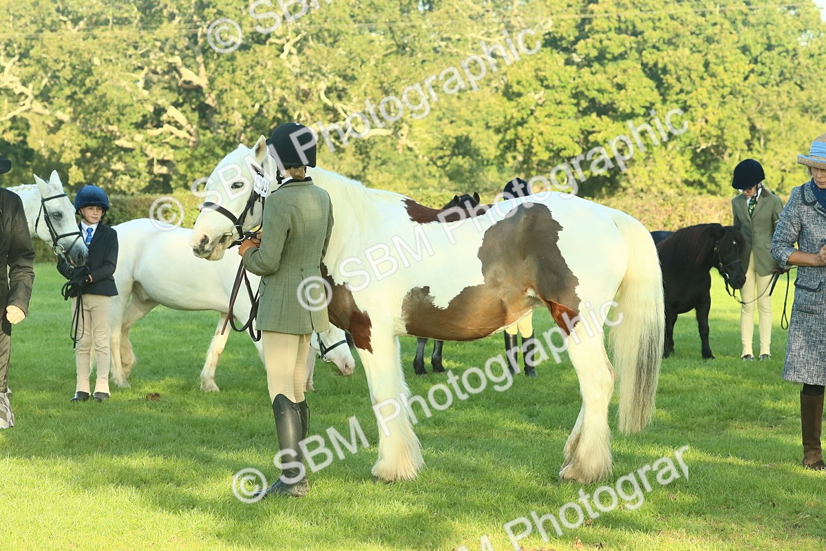 SBM_57430 - S37 - Starters In Hand Showing